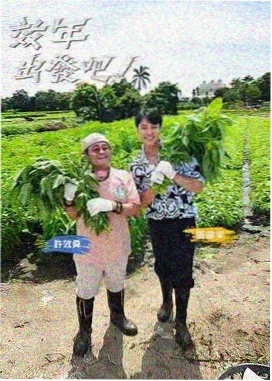 城南旧巷 高分年代剧情剧海报